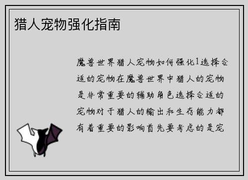 猎人宠物强化指南